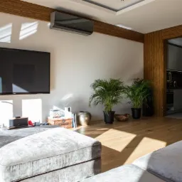 Nowoczesny salon z drewnianą boazerią, szarą sofą, dużym telewizorem, klimatyzatorem i roślinami doniczkowymi, z widokiem na szarą kuchnię w tle.