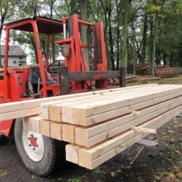 Czerwony wózek widłowy przewozi świeżo przetarte drewno sosnowe na tle lasu i stosu pni drzew.