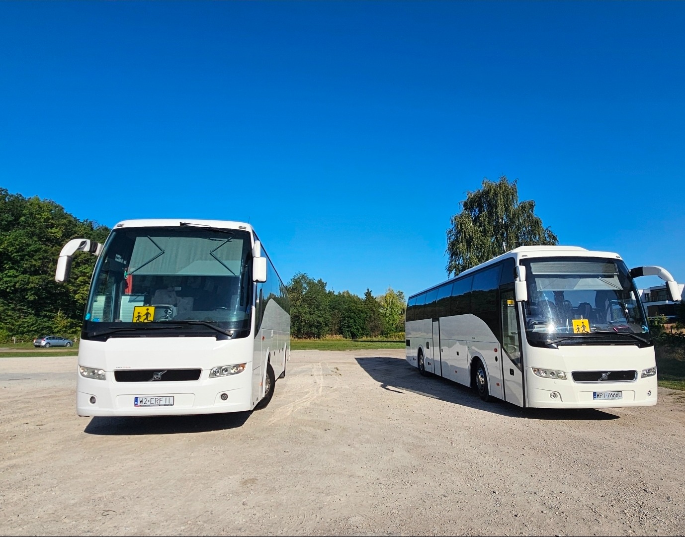 Dwa białe autokary z żółtymi znakami 'dzieci' na szybach, stojące na żwirowym parkingu w słoneczny dzień. W tle drzewa i błękitne niebo.