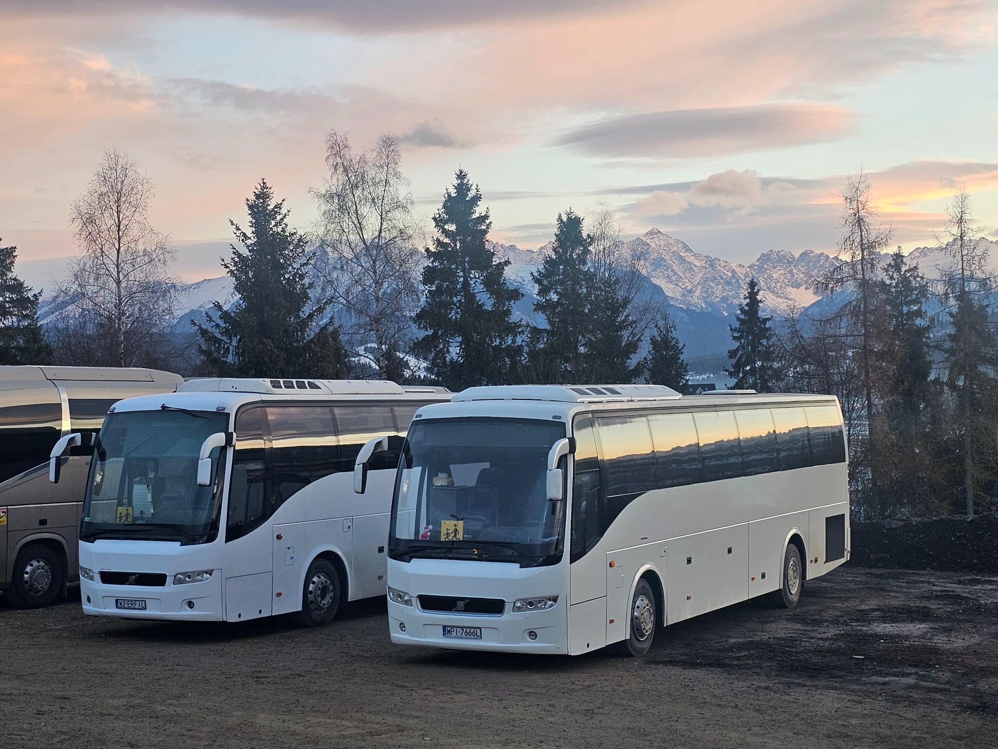 Białe autokary na tle górskim o zmierzchu. Jeden z autobusów ma naklejkę z sylwetkami dzieci w oknie. Widoczne drzewa iglaste i bezlistne.
