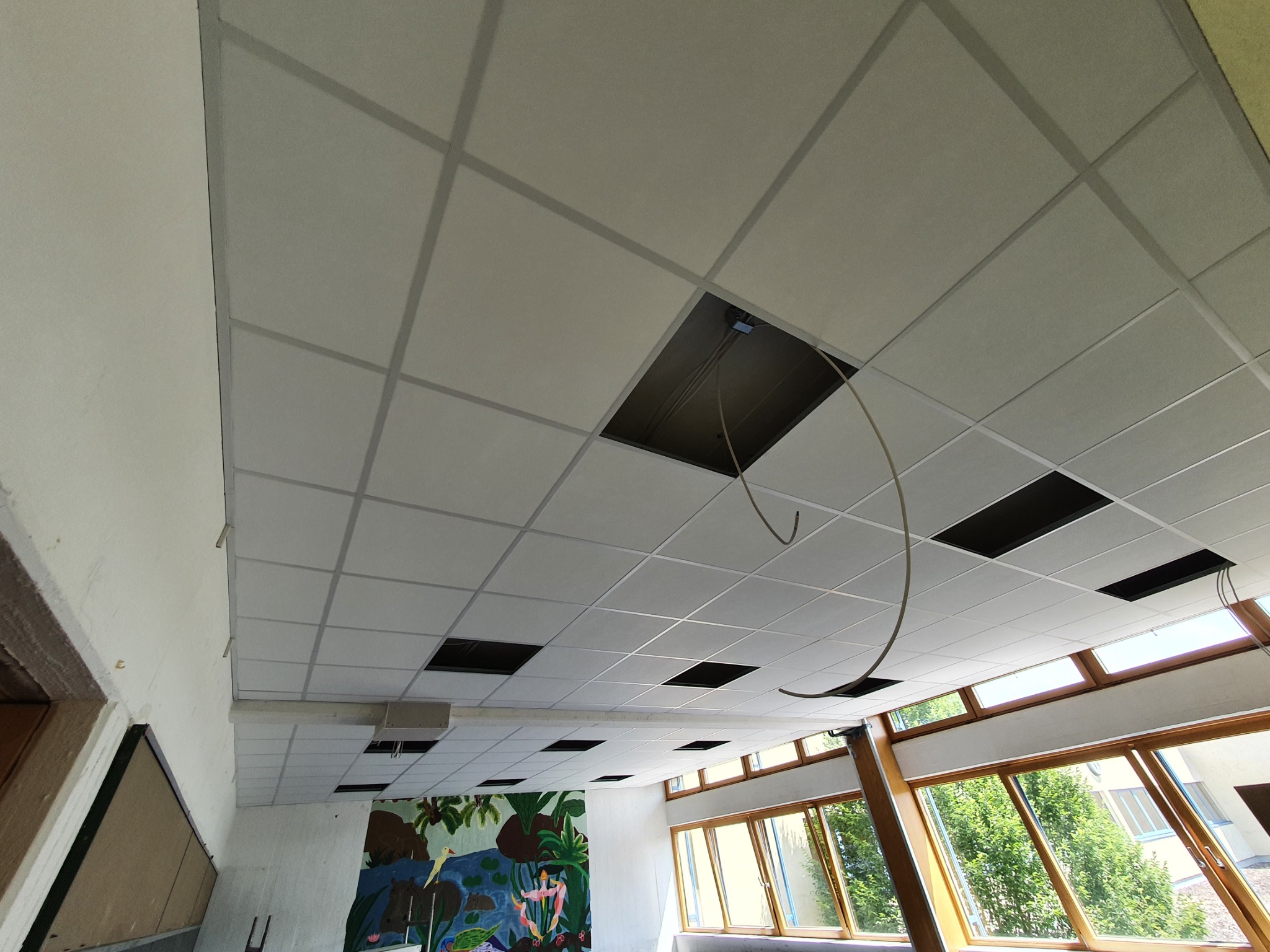 Sufit podwieszany kasetonowy z widocznymi otworami instalacyjnymi i wystającymi kablami, mural z motywami roślinnymi i zwierzęcymi na ścianie w tle, duże okna z widokiem na zieleń.