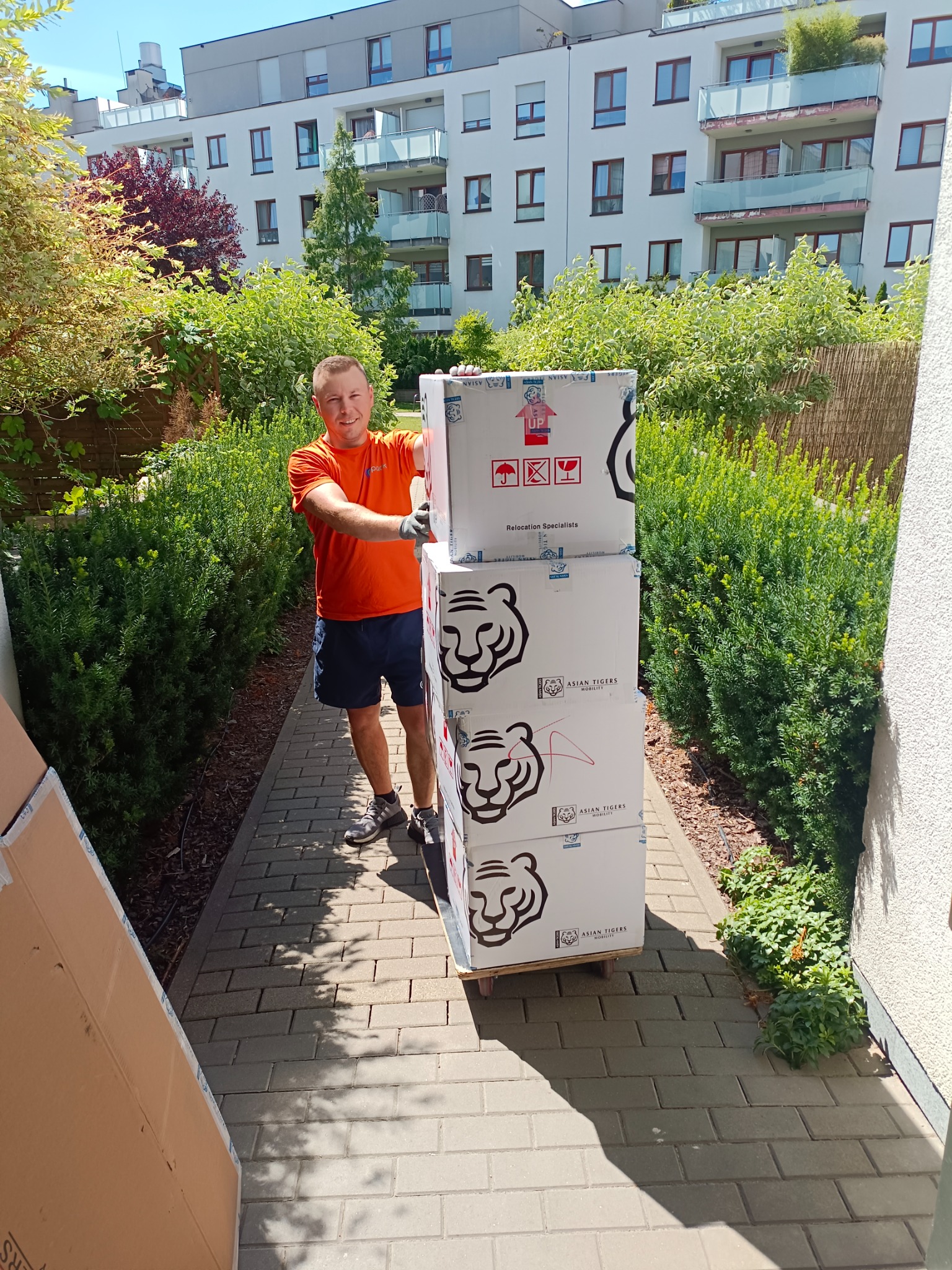 Uśmiechnięty mężczyzna w pomarańczowej koszulce i rękawicach transportuje na wózku stos kartonowych pudeł z logo Asian Tigers Mobility na tle nowoczesnego apartamentowca i zieleni.