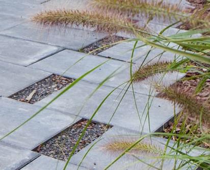 Szara ścieżka z betonowych płyt z wypełnieniami żwirowymi i ozdobnymi trawami.