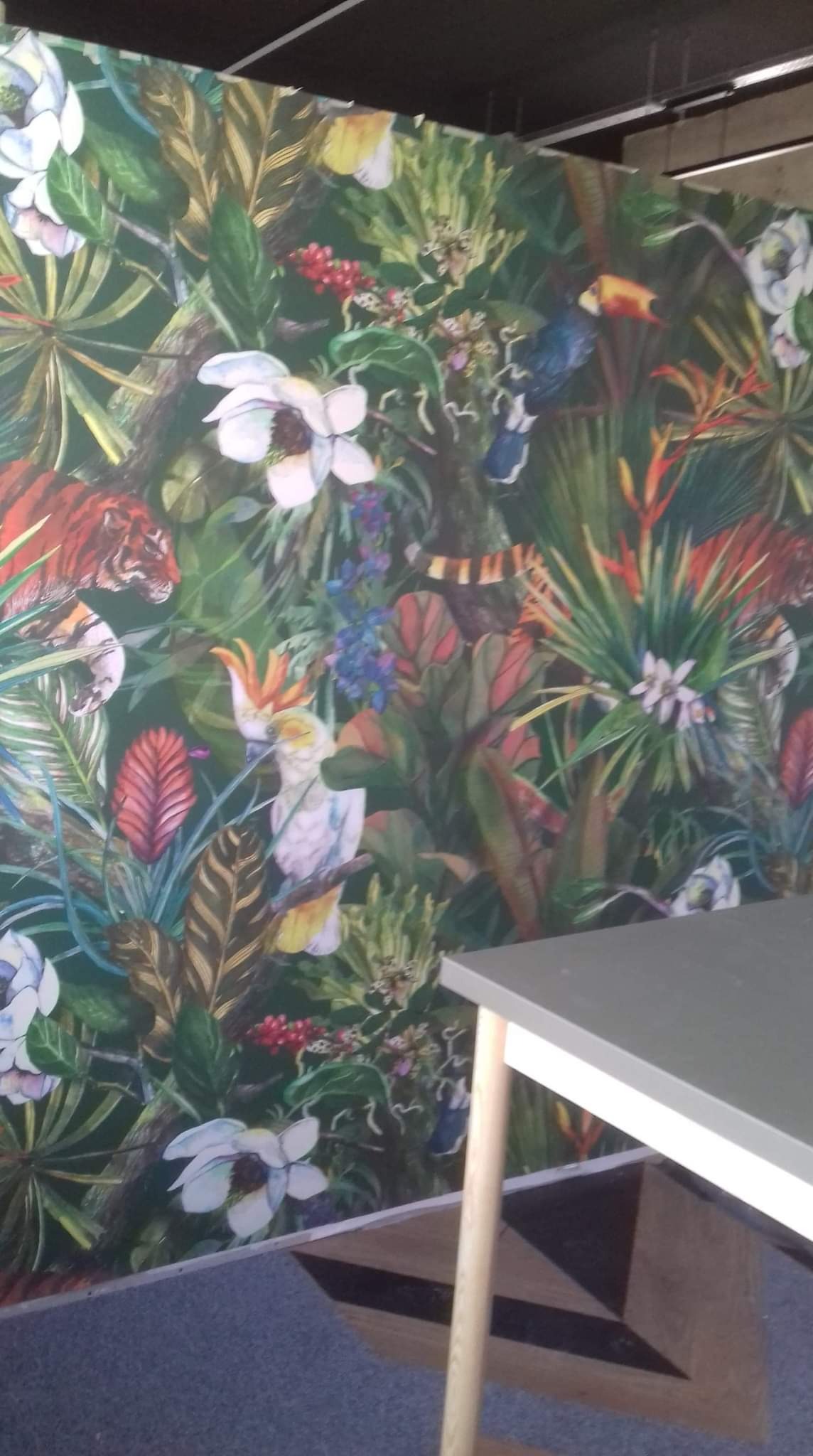 Ściana pokryta tapetą z motywem dżungli, przedstawiająca tygrysa, kakadu, tukana, węża i egzotyczne rośliny, częściowo zasłonięta przez róg stołu.