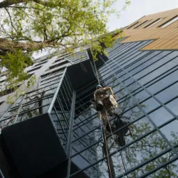 Pracownik w uprzęży, wiszący na linach, myje szklaną fasadę wysokiego budynku biurowego; widok z dołu, w tle gałęzie drzewa.