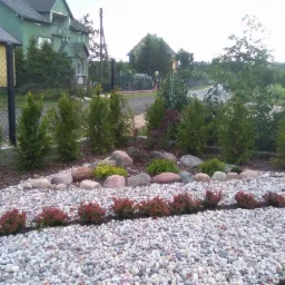 Uporządkowany ogródek przydomowy z białymi kamieniami, niskimi czerwonymi krzewami, zielonymi iglakami i dekoracyjnymi kamieniami, z domami w tle.