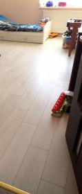 daniel.poletek - Elewacje i ocieplenia Dygowo