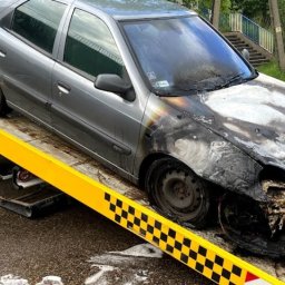 Transport samochodów z zagranicy Myszków 2