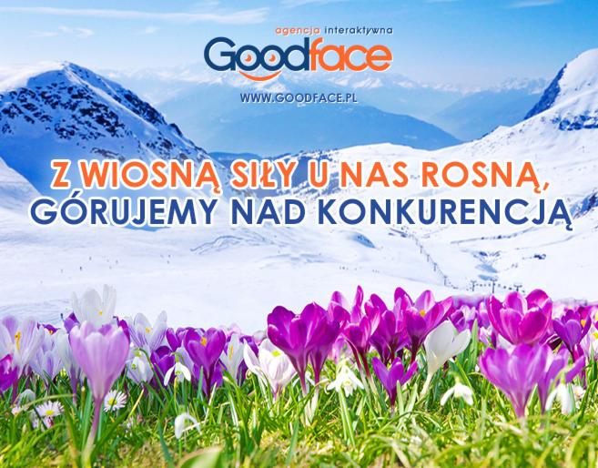 Wiosenne krokusy na tle ośnieżonych gór i logo agencji interaktywnej Goodface z hasłem 'Z wiosną siły u nas rosną, górujemy nad konkurencją'.