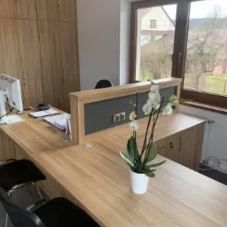 Jasne biuro z drewnianymi meblami, komputerem, dokumentami i storczykiem w doniczce na biurku, widok z okna na wiejski krajobraz.