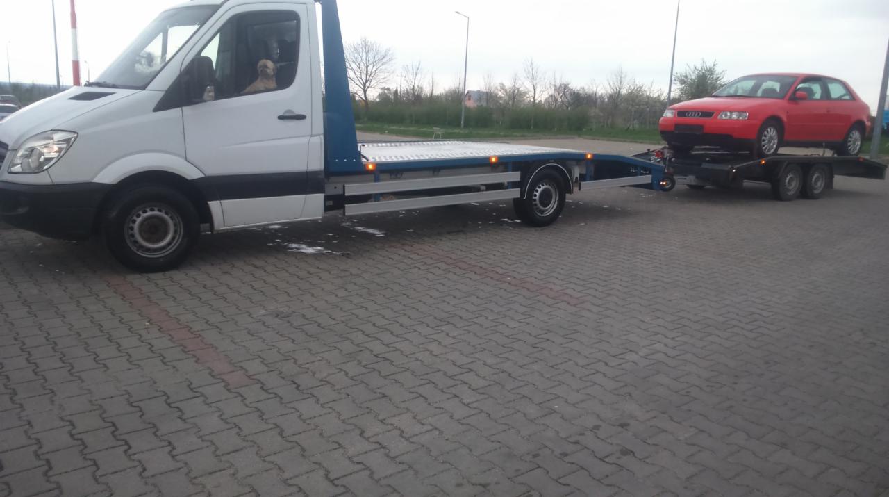 Biała laweta z czerwonym Audi na przyczepie, zaparkowana na brukowanej powierzchni; pies w kabinie kierowcy.