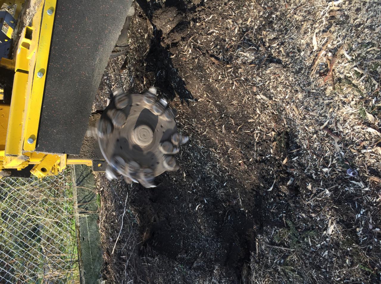 Frezarka do pni w trakcie pracy, widoczne ostre ostrza tnące drewno i ziemię, fragment żółtej obudowy maszyny, w tle trawa i ogrodzenie.