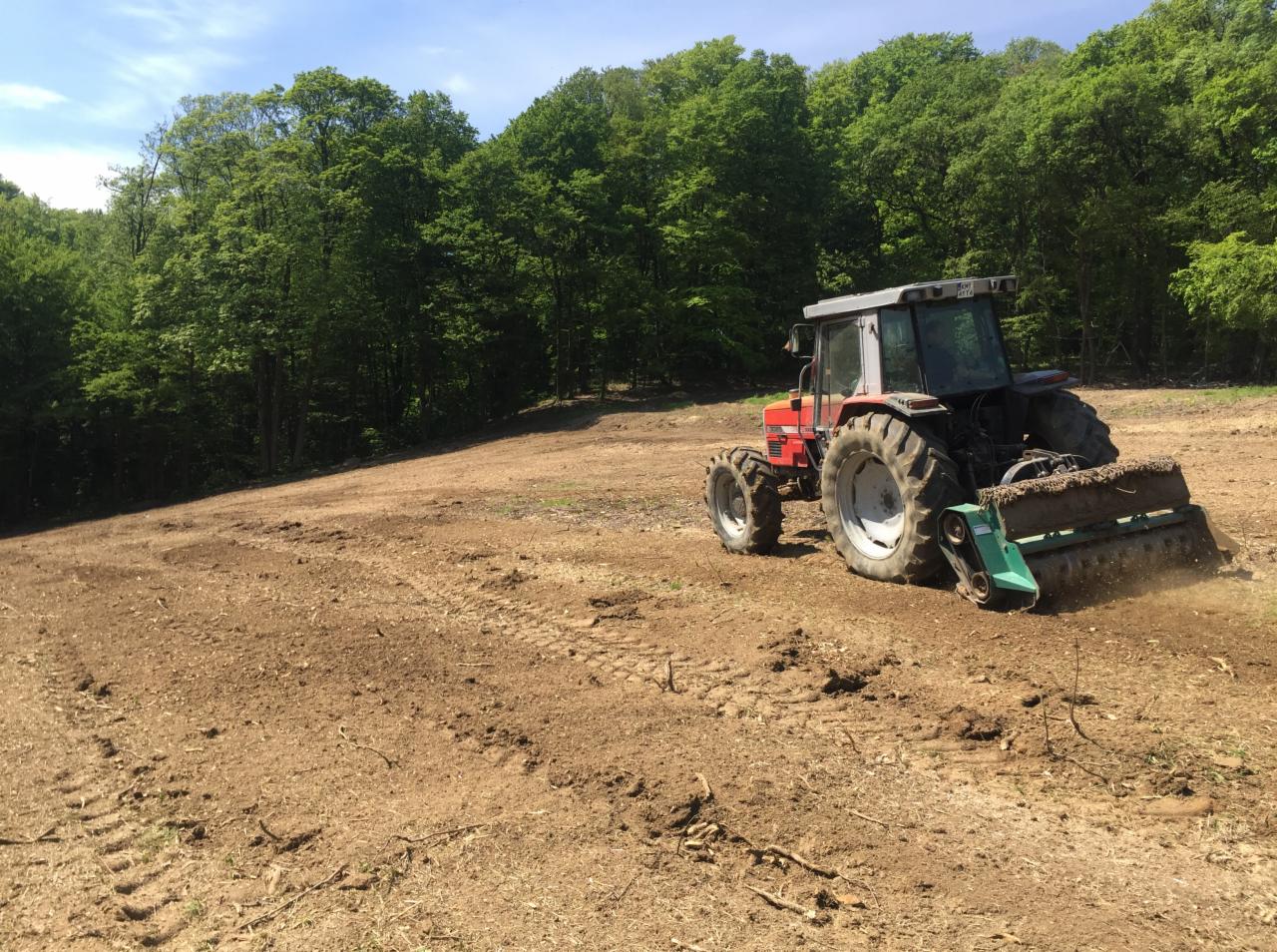 Czerwony traktor z zielonym agregatem uprawowym przygotowuje pole pod uprawę, w tle widoczny las liściasty.