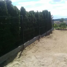 Nowo postawione, ciemne ogrodzenie z siatki panelowej na betonowej podmurówce, z wysokimi tujami po drugiej stronie, na piaszczystym terenie w słoneczny dzień.