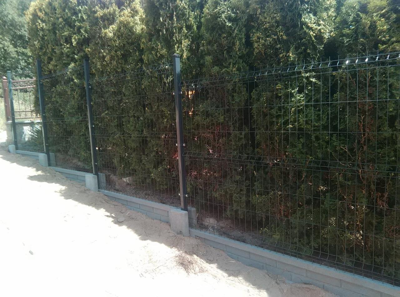 Nowoczesne ogrodzenie panelowe w kolorze grafitowym, osadzone na betonowej podmurówce, z tłem z wysokich, gęstych tuj.