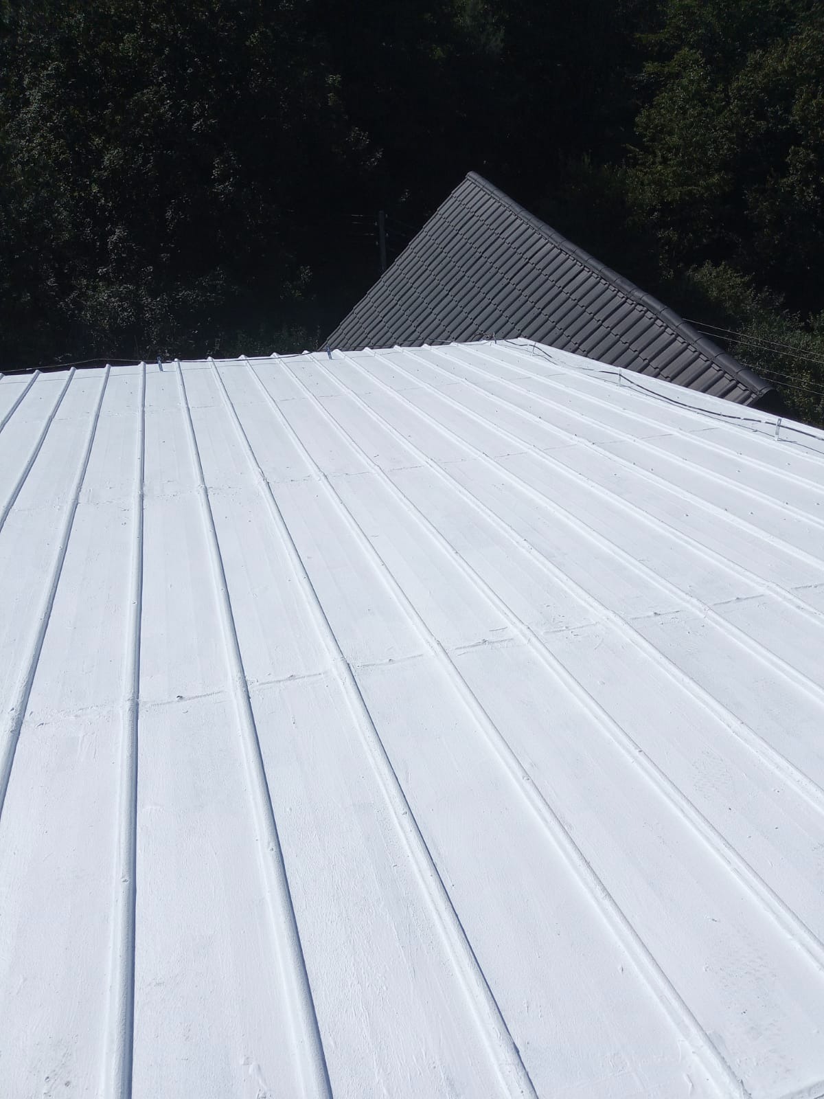 Biały dach z blachy na tle ciemnego dachu z dachówki i zieleni. Widok z góry, ukazujący regularne linie blachy i kontrast kolorów.