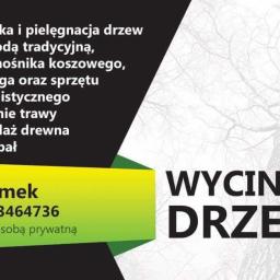 Pielęgnacja ogrodów Rybnik  3