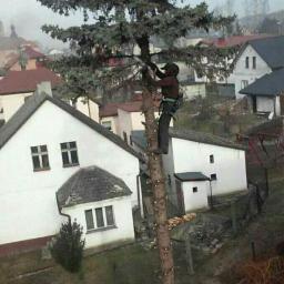 Pielęgnacja ogrodów Rybnik  2