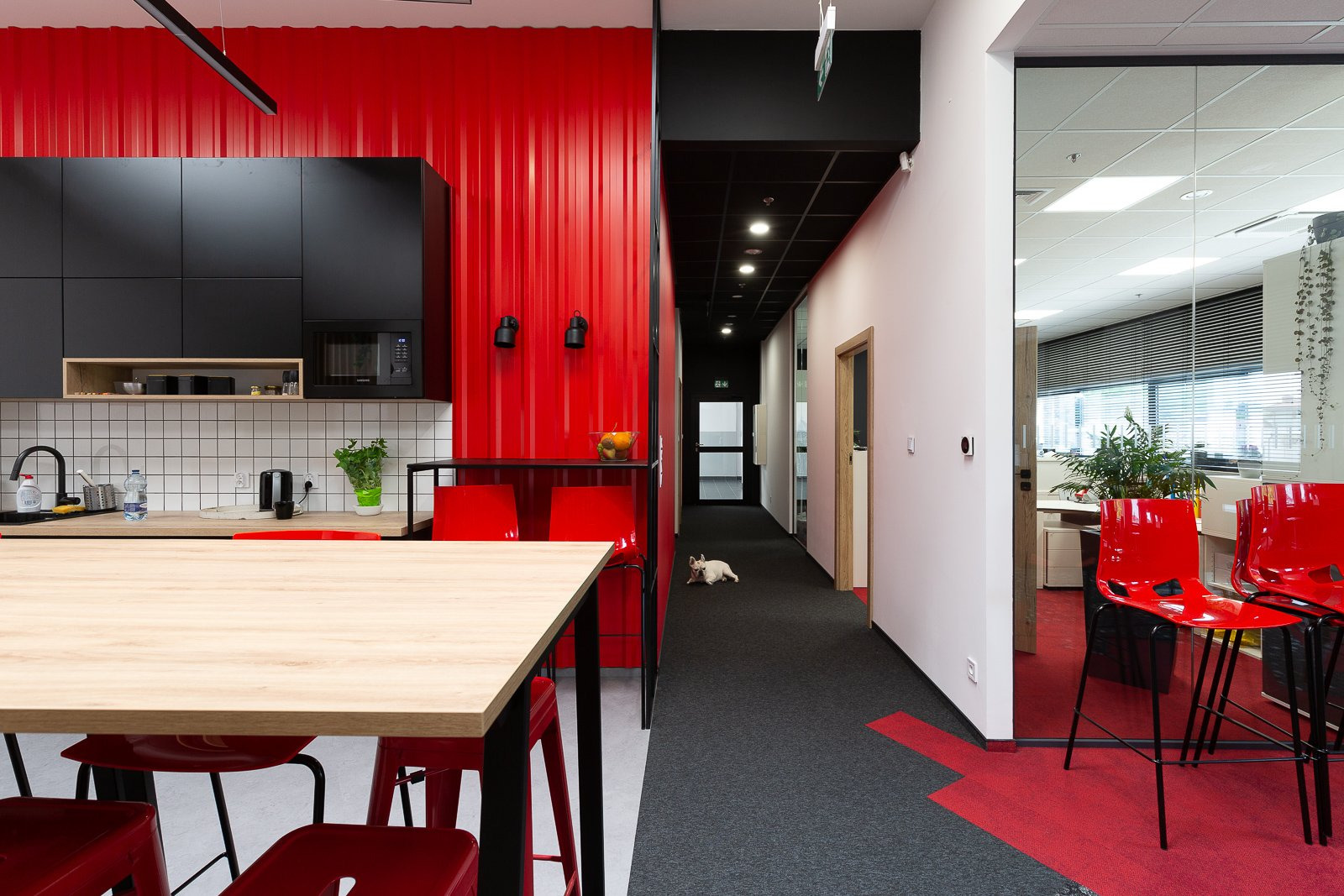 Nowoczesne wnętrze biurowe z kuchnią: czerwona ściana z blachy falistej, czarne szafki kuchenne, jasny drewniany stół z czerwonymi krzesłami barowymi, szary dywan z czerwonym akcentem, pies leżący...