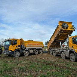Firma Zdanpol - Dwa żółte samochody ciężarowe Scania na polu, jeden z podniesioną skrzynią ładunkową, z tyłu czarny samochód osobowy Volvo z otwartym bagażnikiem, błękitne niebo z chmurami w tle.