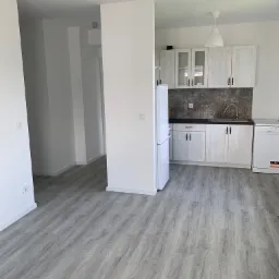 Jasnoszara podłoga z paneli w nowym mieszkaniu z białą kuchnią i sprzętami AGD.