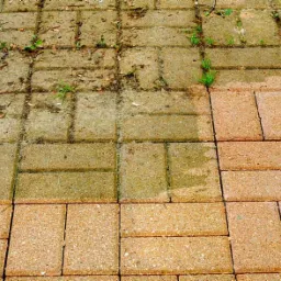 Częściowo wyczyszczona kostka brukowa z widoczną różnicą między brudną a czystą powierzchnią, z resztkami liści i wyrastającą trawą w szczelinach.