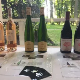 Różne rodzaje wina (różowe, białe, czerwone) ustawione na stole z broszurami informacyjnymi i wizytówkami na tle okna z widokiem na zieleń.