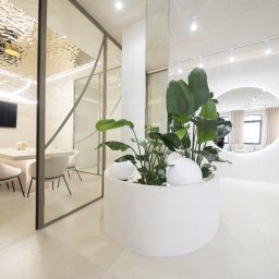 Tofi design - Jasne, minimalistyczne wnętrze biura z przeszkloną salą konferencyjną, roślinami w okrągłej donicy i okrągłym lustrem na ścianie.