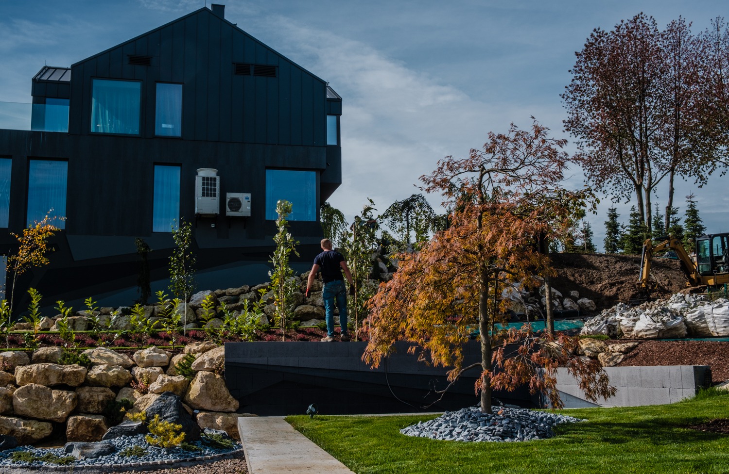 Nowoczesny ogród z czarną bryłą domu w tle, widoczny mężczyzna nadzorujący prace, świeżo posadzony klon palmowy z pomarańczowymi liśćmi na pierwszym planie, w tle koparka i usypana ziemia.