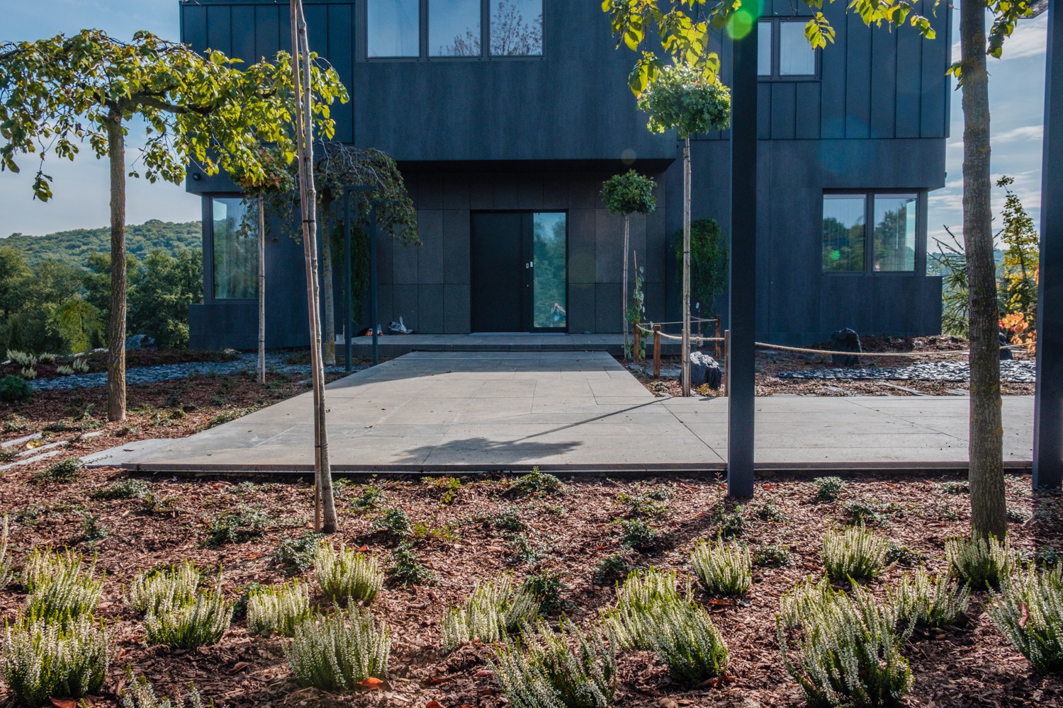 Nowoczesny dom z ciemną elewacją, jasnoszary chodnik z płyt, drzewa formowane w kulę i rabaty z korą oraz niskimi roślinami, widok z dołu.