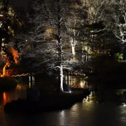 Nocny krajobraz parku z podświetlonymi drzewami i mostkiem odbijającymi się w wodzie.