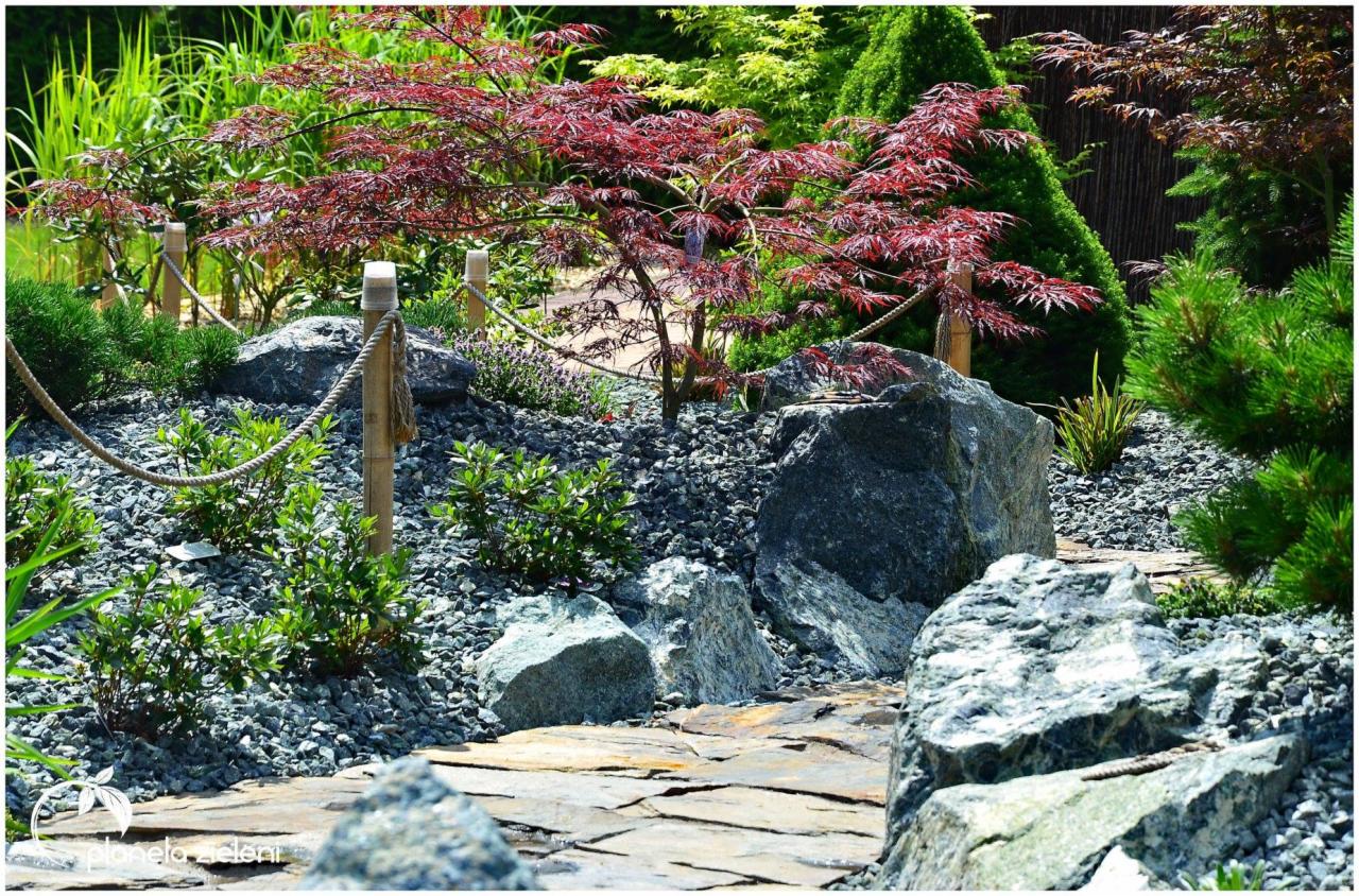 Ogród w stylu japońskim z ścieżką z płyt kamiennych, otoczony szarym żwirem, zielonymi krzewami i drzewami, w tym klonem palmowym o czerwonych liściach, oraz bambusowymi słupkami połączonymi liną.
