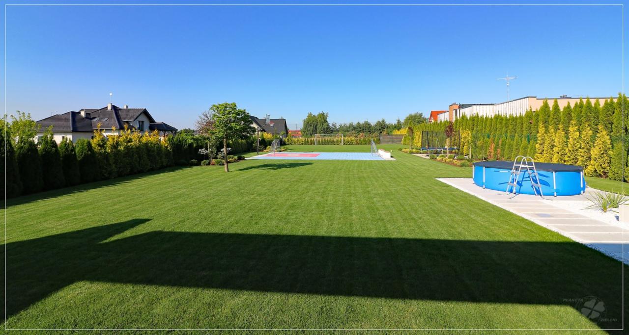 Rozległy, zadbany trawnik z zewnętrznym basenem stelażowym, boiskiem sportowym i żywopłotem z tuj w tle, w słoneczny dzień.