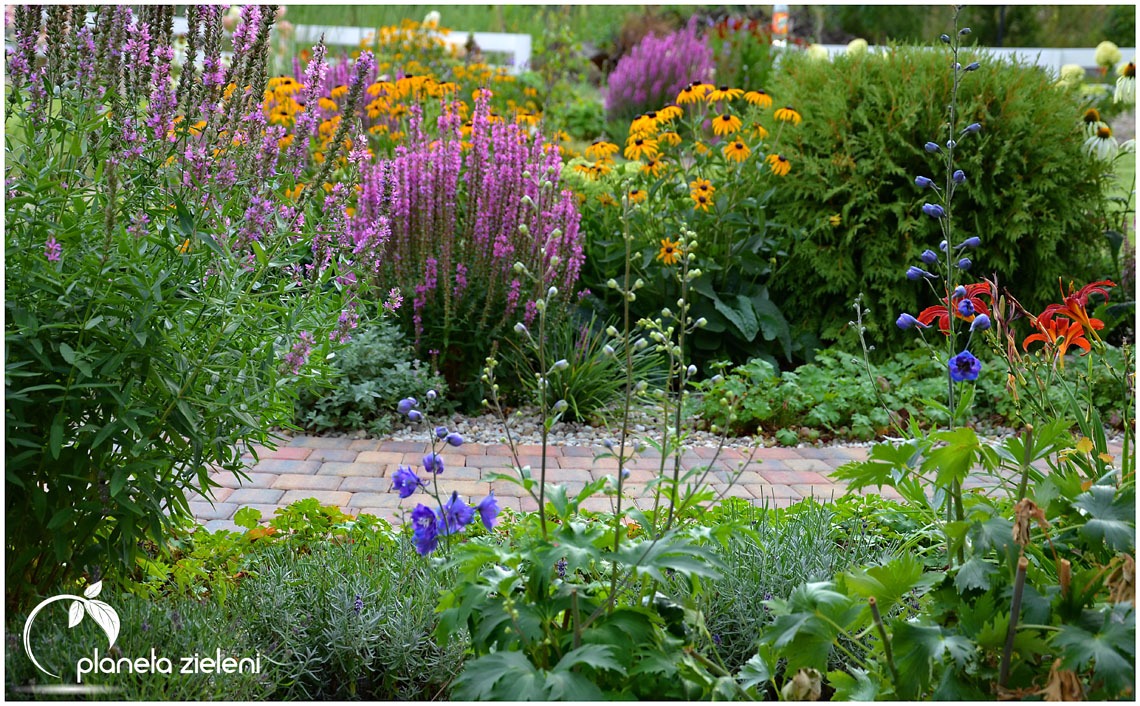 Kwitnący, wielobarwny ogród z ścieżką z kostki brukowej, widoczne różowe, fioletowe, pomarańczowe i żółte kwiaty, oraz logo firmy ogrodniczej w lewym dolnym rogu.