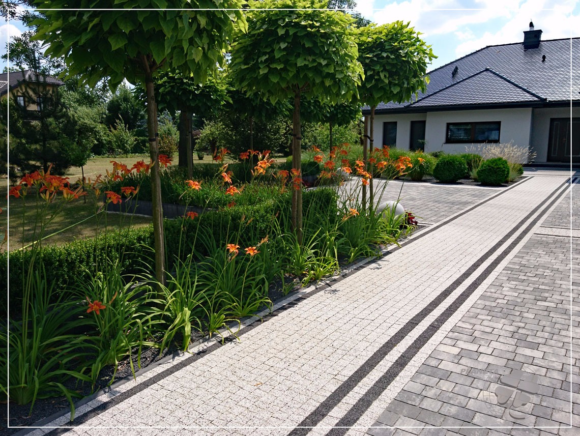 Ogród przydomowy z równo przyciętymi drzewami kulistymi, pomarańczowymi liliowcami wzdłuż ścieżki z kostki brukowej, prowadzącej do nowoczesnego domu z ciemnym dachem.