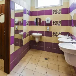 Umywalnia publiczna z trzema białymi umywalkami, okrągłymi lustrami i dozownikami mydła na ścianie z fioletowo-beżowych płytek z motywem kwiatowym. Ciemnobrązowe drzwi z okrągłym okienkiem po lewej...