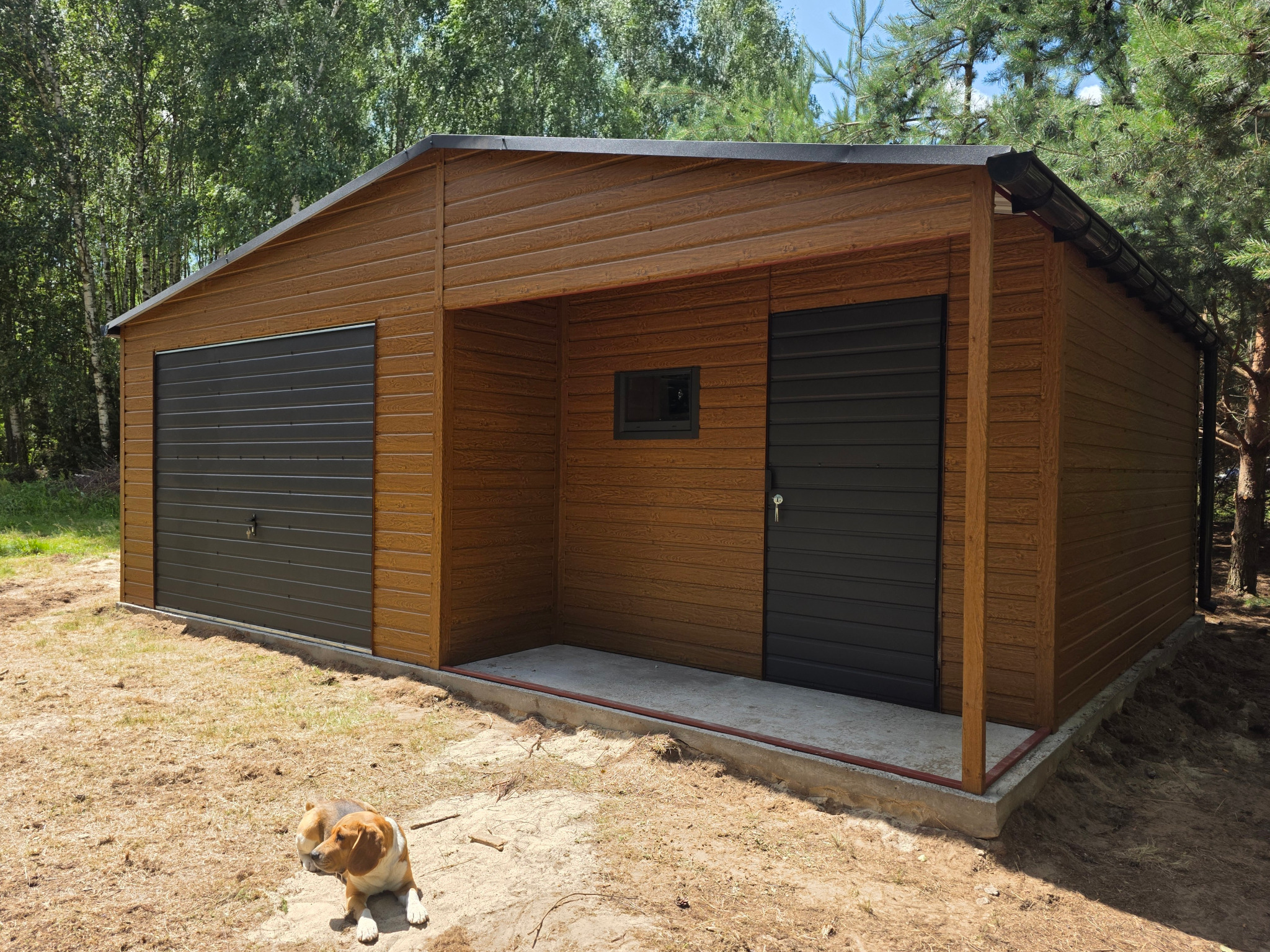 Brązowy garaż blaszany z bramą i drzwiami w kolorze antracytowym, na tle drzew, z psem leżącym na ziemi. Widoczne poziome panele blaszane.