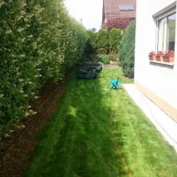 Świeżo skoszony trawnik przydomowy z długim żywopłotem, widoczny sprzęt ogrodniczy i przewód zasilający.