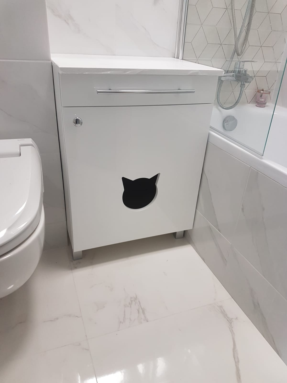 Twój kot wybrałby WIGO.