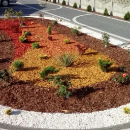 Ogród z wysypanym kolorowym zrębkiem drzewnym, obrzeżem z białych kamieni i nasadzeniami krzewów ozdobnych, widok z góry.