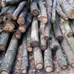Drewno opałowe, kominkowe Spychowo - Skład Opału Spychowo