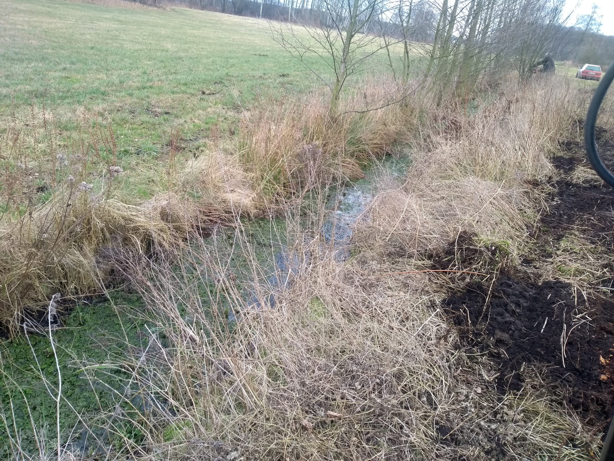 Zarośnięty rów melioracyjny przed rozpoczęciem prac czyszczących, widoczne zarośla, woda i świeżo wykopana ziemia na brzegu, w tle łąka i drzewa.