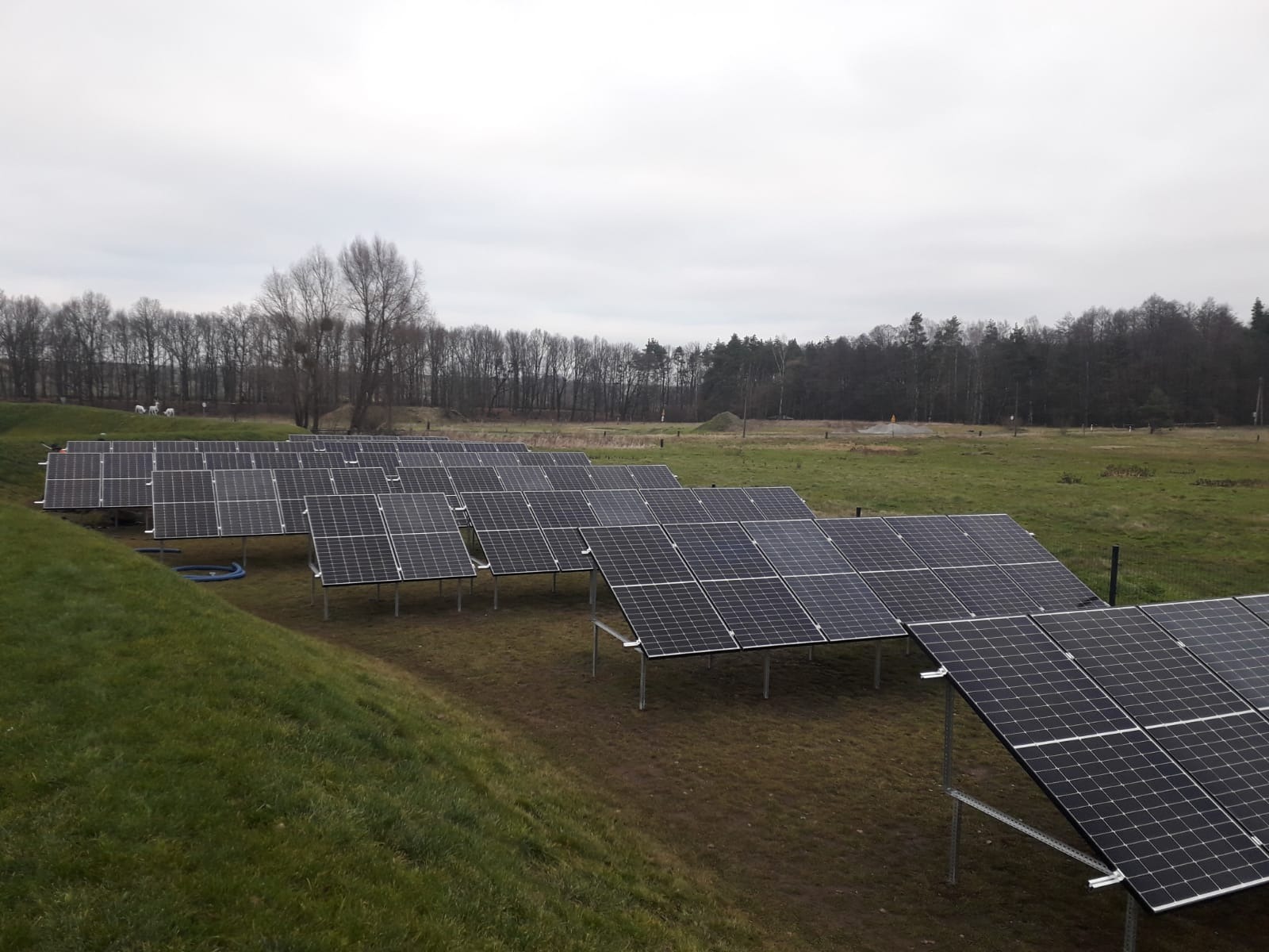 Rząd paneli słonecznych na metalowych stelażach, zainstalowanych na pochyłym terenie trawiastym, z widokiem na drzewa i pochmurne niebo w tle.