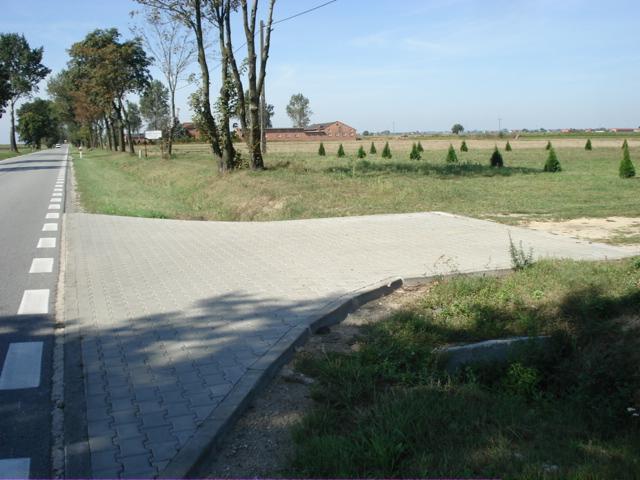 Fragment chodnika z kostki brukowej łączący drogę z polem, widoczne drzewa i krzewy, w tle budynek gospodarczy.