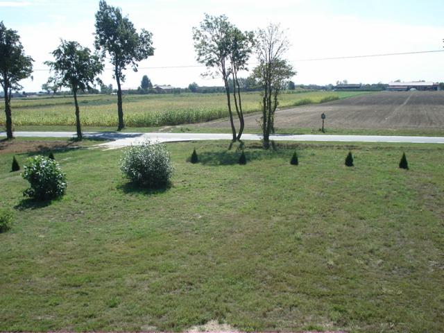 Rozległy trawnik z niskimi krzewami ozdobnymi i stożkowymi iglakami na tle pól uprawnych i drogi wiejskiej.