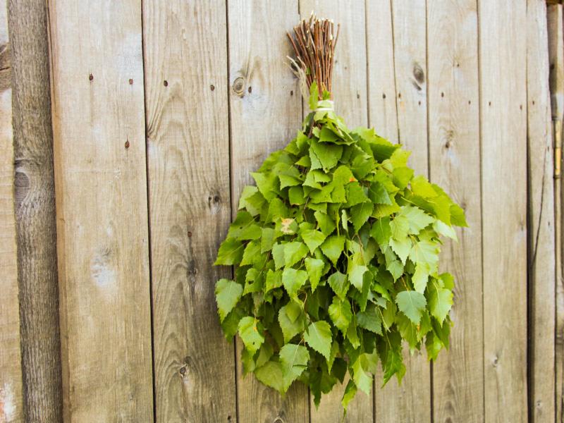 Wiązanka świeżych, zielonych gałązek brzozowych zwieszona na szarym, drewnianym płocie z widocznymi sękami i gwoździami.