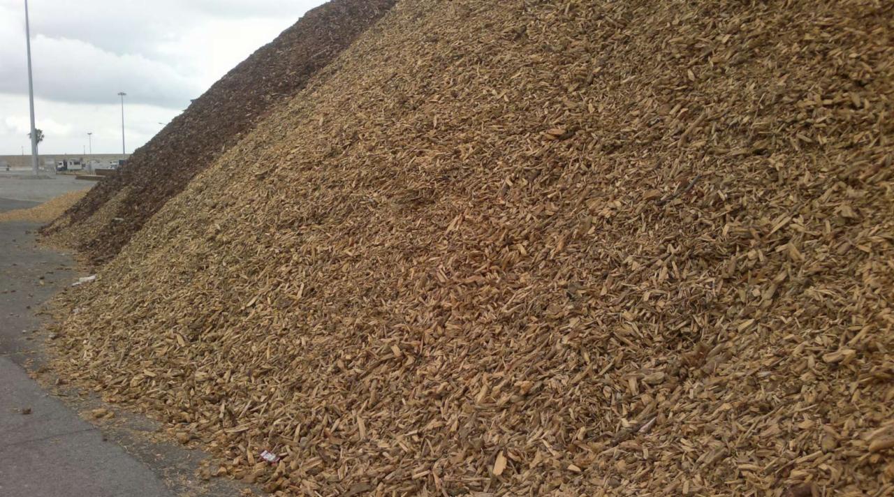 Góra jasnych zrębków drzewnych na betonowej powierzchni, z widoczną w tle ciemniejszą pryzmą i słupami oświetleniowymi.