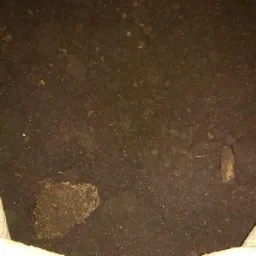 Wnętrze worka wypełnionego ciemną ziemią ogrodową z widocznymi fragmentami organicznymi, oświetlenie sztuczne.