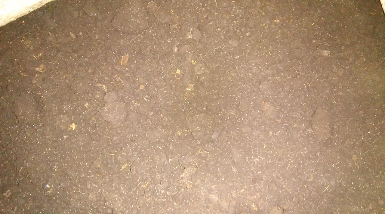 Świeża, wilgotna ziemia ogrodowa z widocznymi drobnymi fragmentami organicznymi i grudkami, oświetlona sztucznym światłem, tworząca jednolitą teksturę.