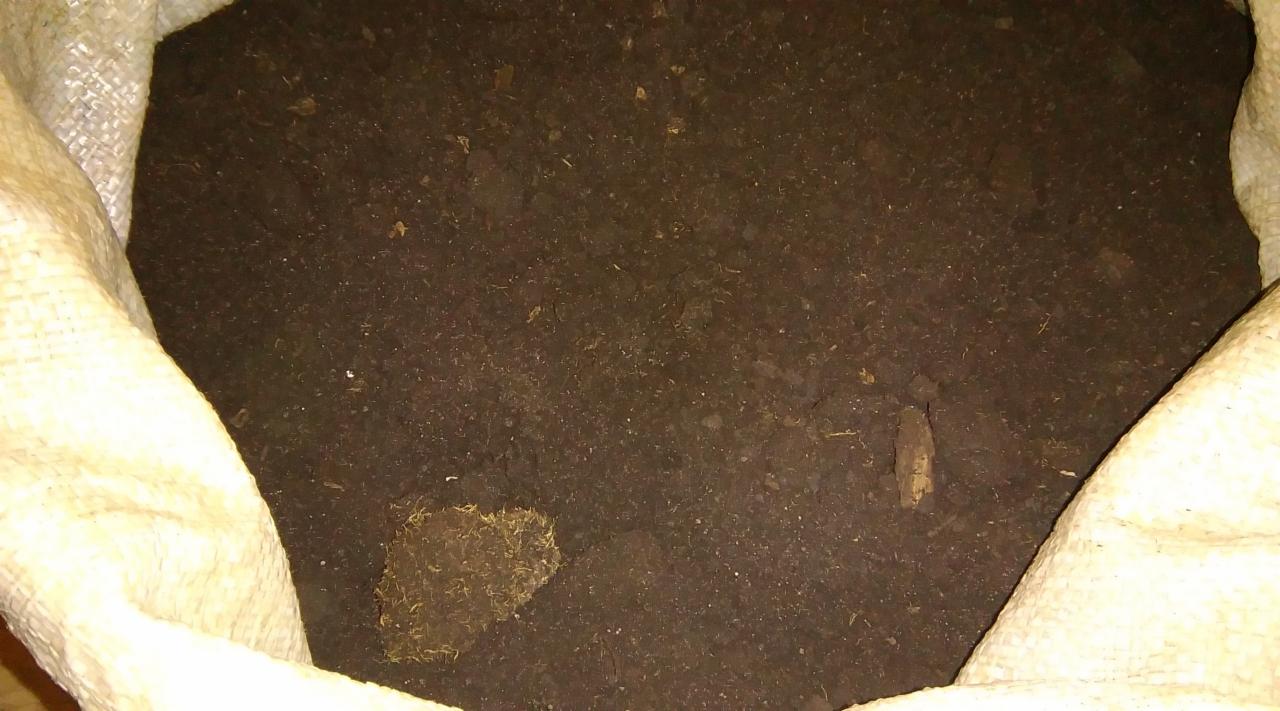 Wnętrze worka wypełnionego ciemną ziemią ogrodową z widocznymi fragmentami organicznymi, oświetlenie sztuczne.